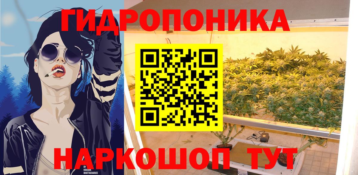 Шишки марихуана тримм  Вход с VPN  Дзержинск  Канабис индика  Канабис конопля 